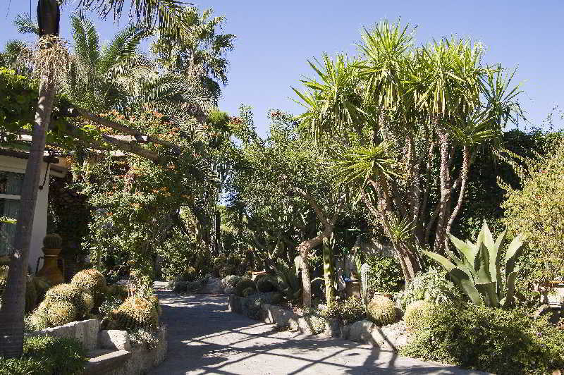 Park Hotel Terme Mediterraneo Forio di Ischia Exterior foto